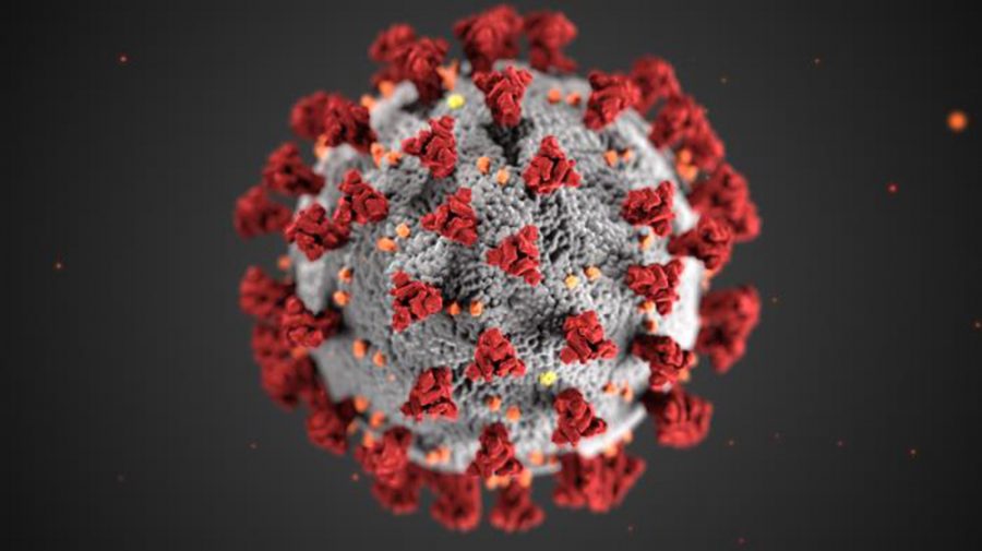 Pictured is an illustration of the coronavirus released by the CDC.