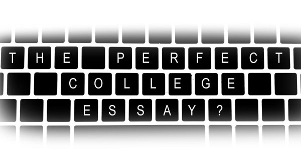 In search of the perfect college essay